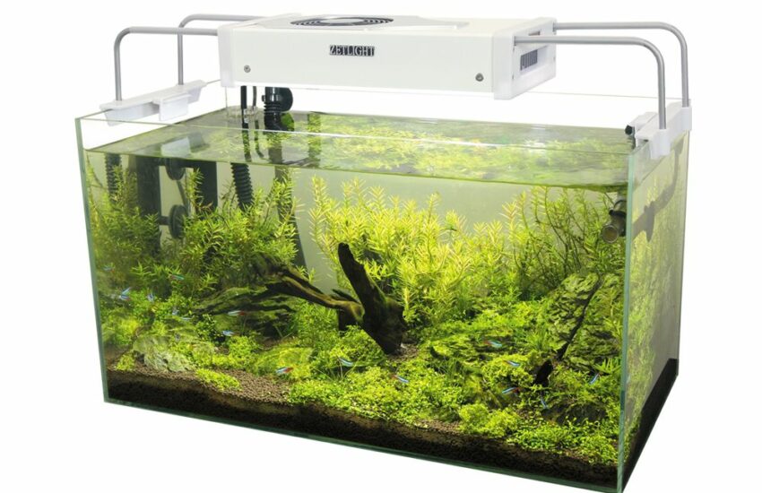 LED Aquarium Licht